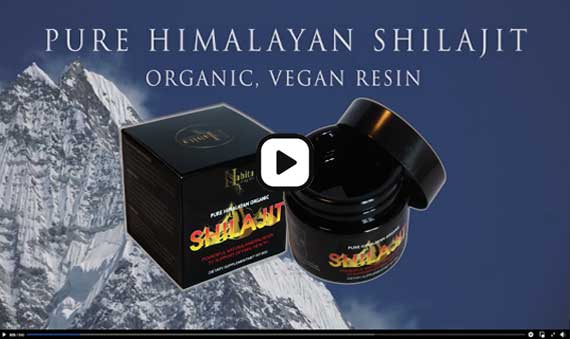 Himalayan-Shilajit-Video