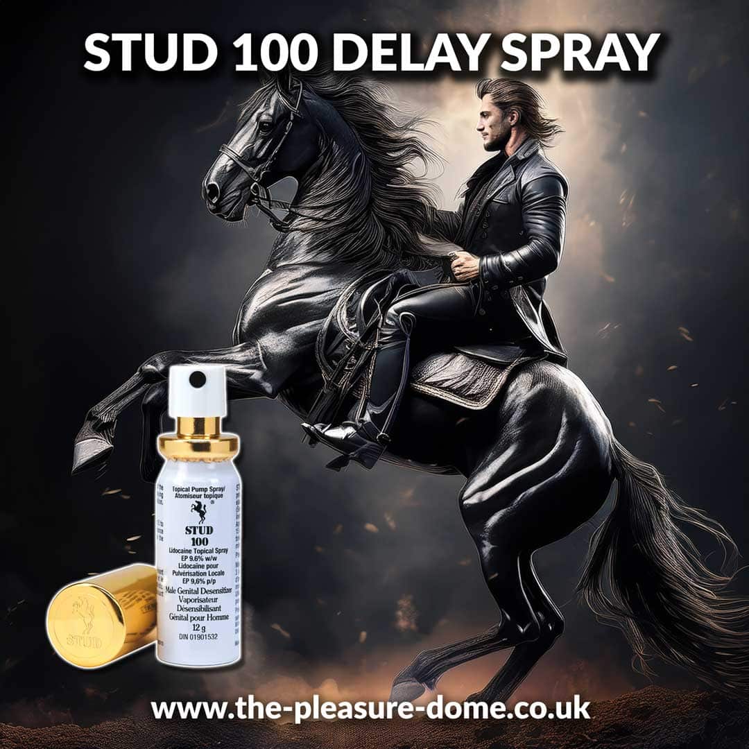 Man riding black horse