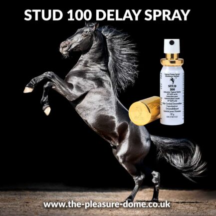 Beautiful Black Stallion Horse